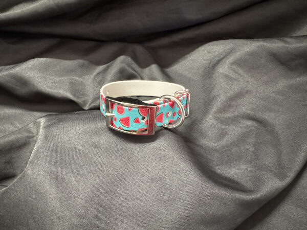 Collier Petit Chien Pastèque